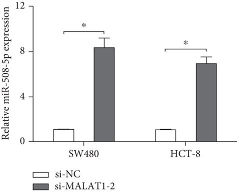 Malat Functions As The Sponge Of Mir P In Crc Cells A