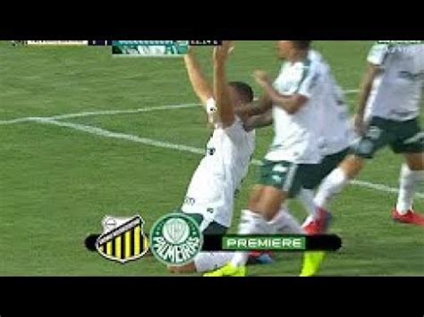 Novorizontino X Palmeiras Melhores Momentos Completo Hd