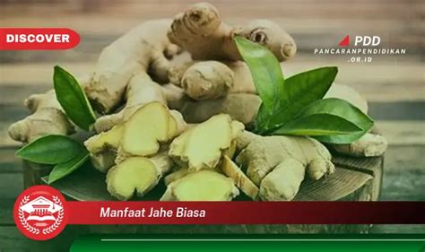 Bikin Penasaran Ketahui Manfaat Jahe Biasa Yang Jarang Diketahui