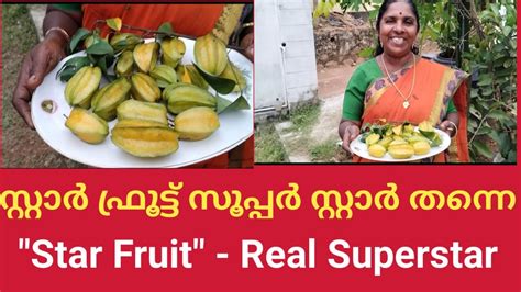 Star Fruit How To Grow Star Fruit Backyard Starfruit Jcsworld