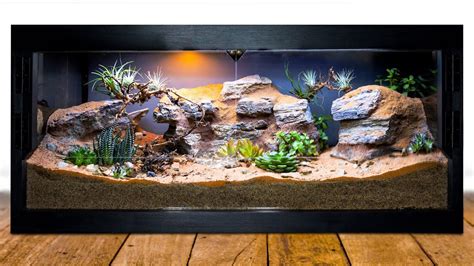 Diy Arid Desert Bioactive Vivarium For Blue Beetles Youtube