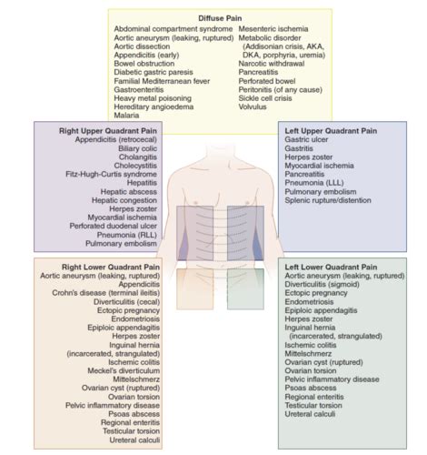 Acute Abdominal Pain Flashcards Quizlet