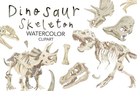 Dinosaur Skeleton Watercolor Clipart Graphic By Nktkns · Creative Fabrica