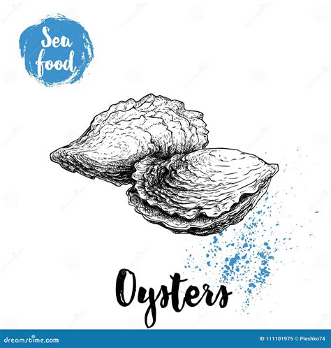 Hand Drawn Oysters Composition Seafood Sketch Style Illustration