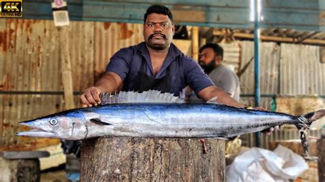 Kasimedu Speed Selvam Kg Aara Kola Fish Cutting Video K Video