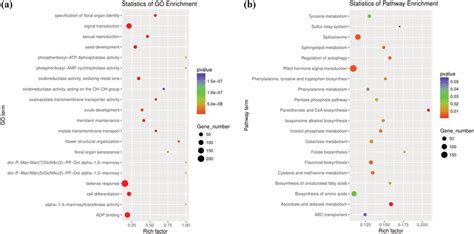 Functional Enrichment Of The Mirna Target Genes S1 Vs S2 Vs S3 A