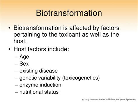 Ppt Chapter Biotransformation Powerpoint Presentation Free