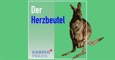 Schutzhülle fürs Herz das Perikard Cardiopraxis