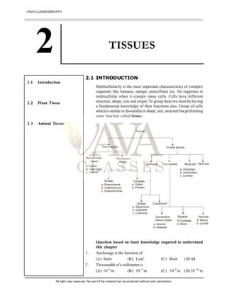 Tissues Class Pdf Notes Chapter Ncert Solutions Pdf