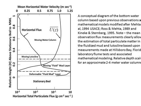 A conceptual diagram of the bottom water column based upon previous ...