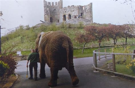 Throwback Thursday Dudley Zoological Gardens