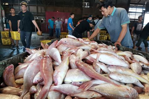 Kkp Tingkatkan Konsumsi Ikan Melalui Diversifikasi Olahan Produk