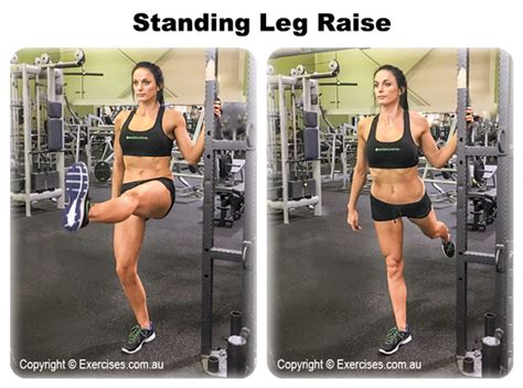 Standing Leg Raises Expert Guided 1 28 Min How To Video