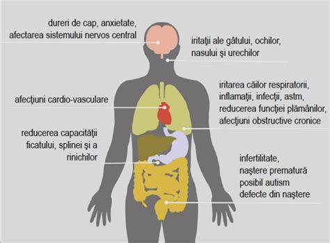 Efectele poluării aerului asupra sănătății fizice și psihice