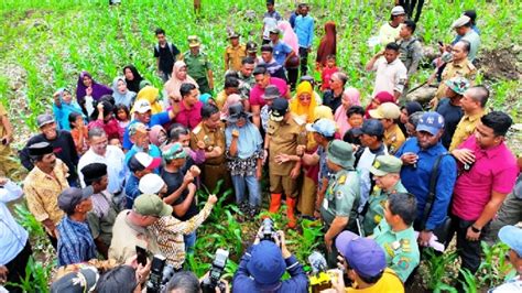 Program Pj Gubernur Bahtiar Diyakini Dongkrak Pendapatan Petani Fajar