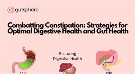 Optimal Digestive Health Comprehensive Strategies To Combat