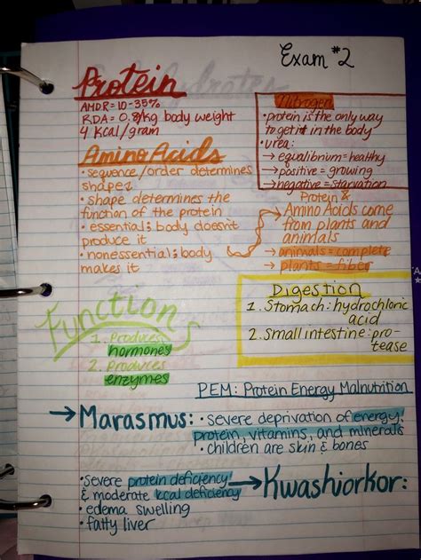 Food Science Human Nutrition College Notes Schoolnotes School