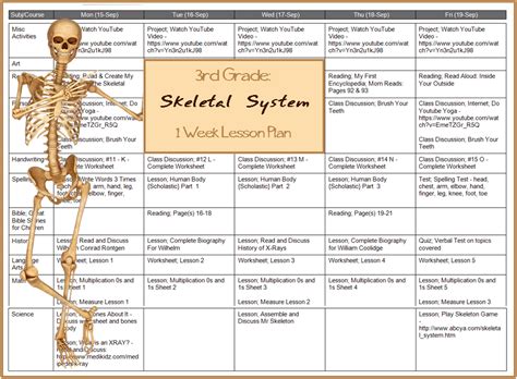 Learn The Skeletal System Grade Three Unit Study Study Unit