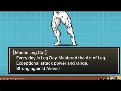 Macho Leg Cat Unlocked The Battle Cats Youtube