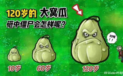 植物大战僵尸：120岁的大窝瓜 哔哩哔哩 Bilibili