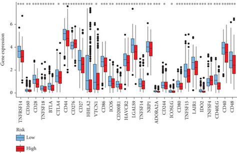 Immunity Related Analyses A ESTIMATE Score Of Stromal Cells B