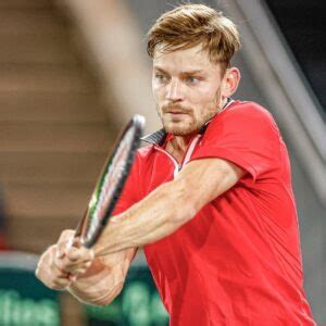 David Goffin Tennis Player Atp Tennis Majors