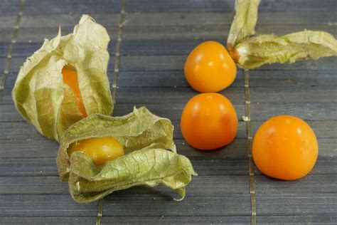 Physalis peruviana