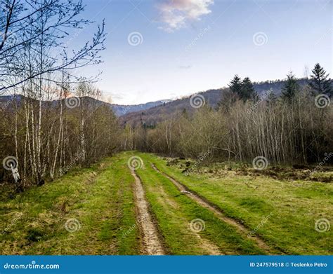 Ruta Forestal En Las Montañas Carpatanas Skole Beskids Parque Natural