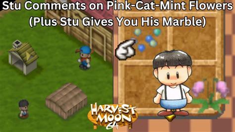 Harvest Moon Stu Comments On Pink Cat Mint Flowers Plus Stu Gives