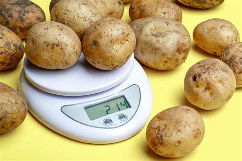 How Many Potatoes Do You Need For Mashed Potatoes Kitchen Seer