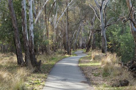 Climatewatch In Parks Climatewatch Australia Citizen Science App