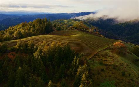 La Ltima Versi N Beta De Macos Sonoma Trae M S De Nuevos Fondos De