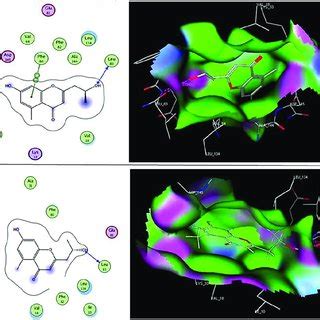 D And D Ligand Interactions Of Compound With Vegfr A And Cdk