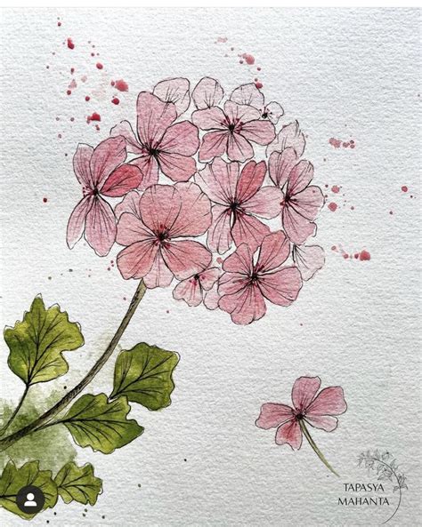 Pin By Marleen Meintjes On Art Painting Flowers In Watercolor