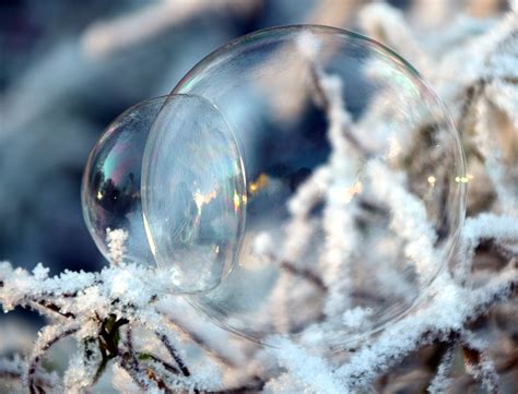 Free Images Water Branch Snow Cold Winter Structure Sunlight