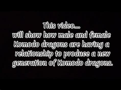 Komodo Dragon Mating Youtube