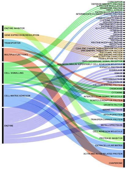 Cancers Free Full Text Pancreatic Cancer Secreted Proteins