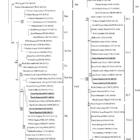 Part B Independent Assortment And Genetic Variation