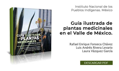 Guía Ilustrada De Plantas Medicinales En El Valle De México Descarga El Nuevo Libro Inpi