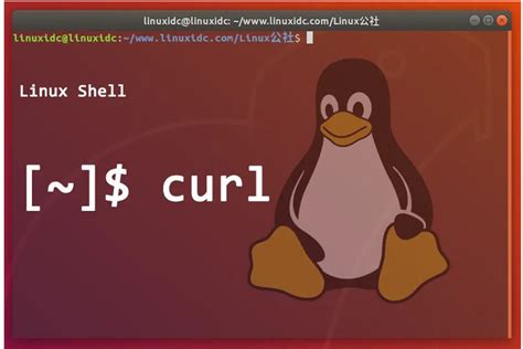 Linux系统如何安装curl。 知乎