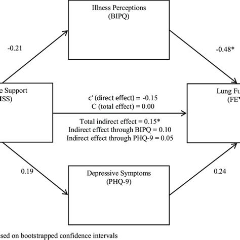 Standardized Regression Coefficients From The Analysis Of Direct And