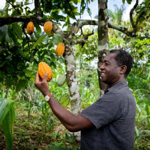 Chocolat belge éthique social et écologique le guide vert Astuces