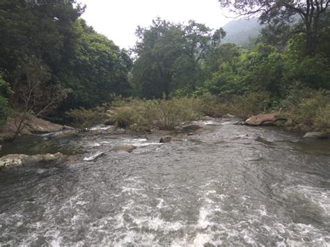 A Taste Of Nature’s Bounty At Devkund Waterfall - odishabytes