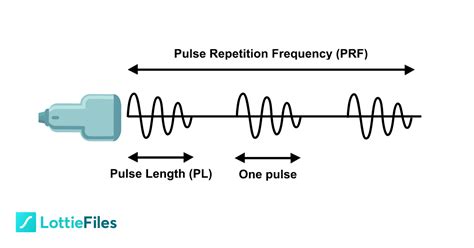 Pulse Repetition Frequency PRF On Lottiefiles Free Lottie Animation