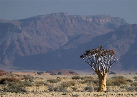 The Naukluft Mountains, Namibia | Tailor-made Trips | Audley Travel UK