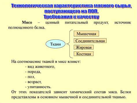 Обработка, подготовка мяса и мясных продуктов - online presentation