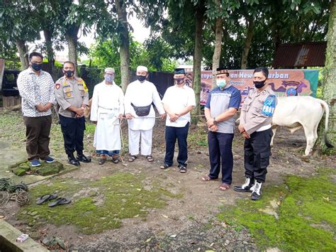 Polres Pematangsiantar Potong Qurban 4 Ekor Sapi Dan 1 Ekor Kambing