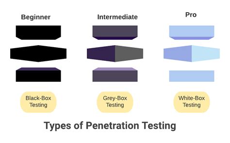 What And Who Is A Pentester