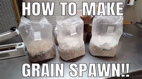 How To Make Mushroom Grain Spawn Soak No Simmer Preparation And