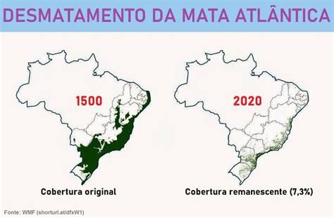 a u ê on Twitter RT BiodiversidadeB Mata Atlântica quando os